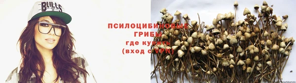 хмурый Нефтегорск