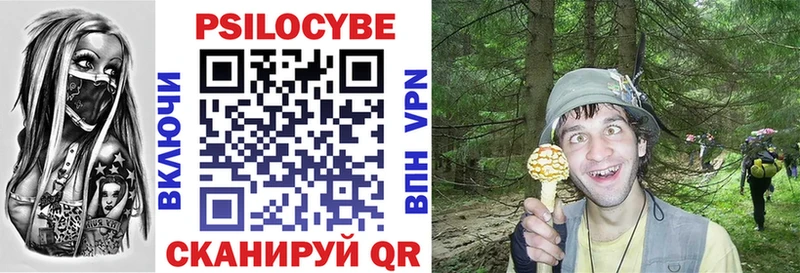где купить   Канаш  Галлюциногенные грибы Psilocybine cubensis 