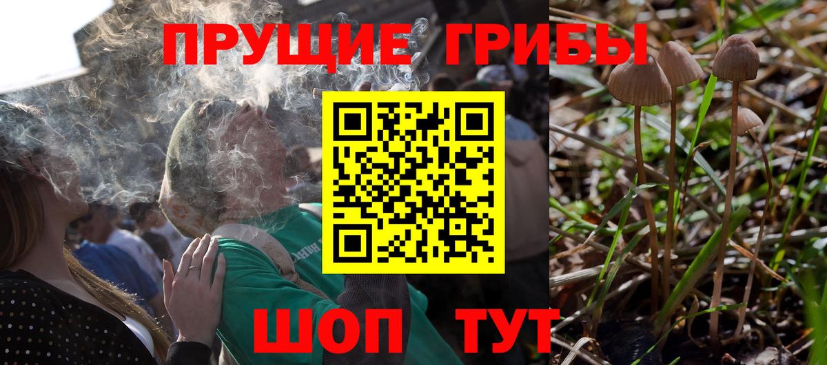 наркошоп  Псилоцибиновые грибы MAGIC MUSHROOMS  Вход с VPN  Канаш 