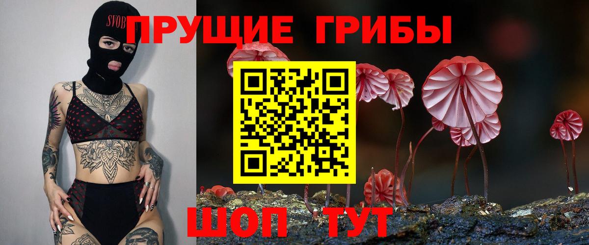 Галлюциногенные грибы Psilocybe Канаш