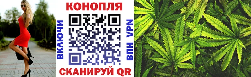 Бошки марихуана THC 21%  OMG tor  Канаш  цены  